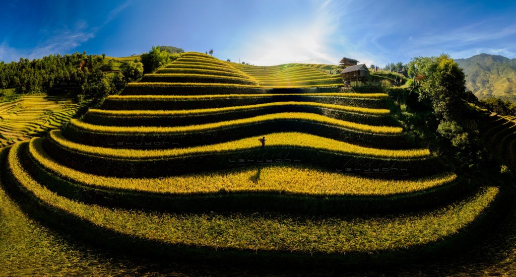 Lợi ích của việc tham gia photo tour